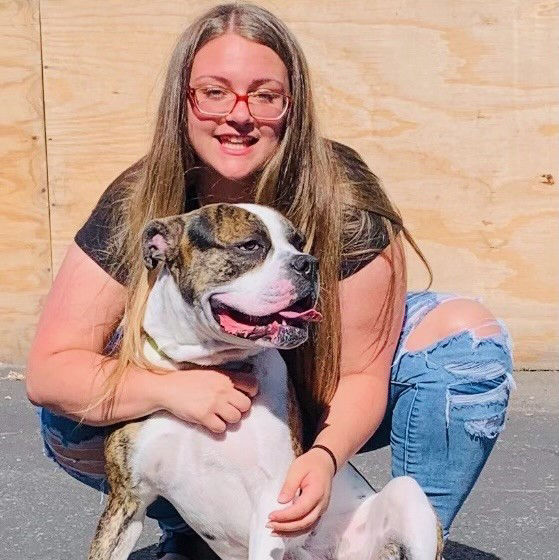 About Us Meet the Team of Pet Me Scratch Me